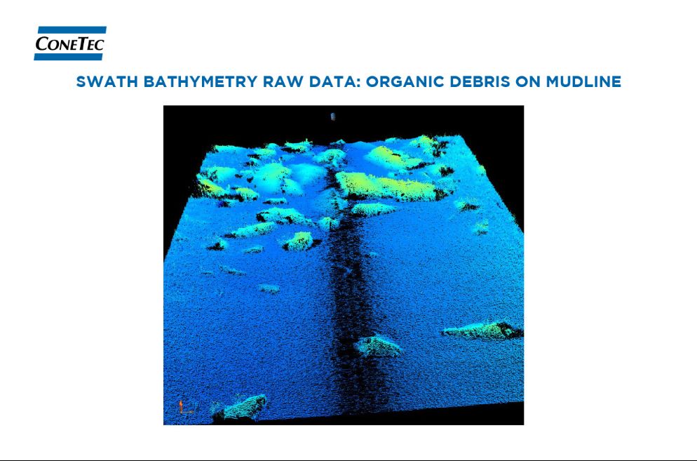 Sonar Figure and Data 03.jpg